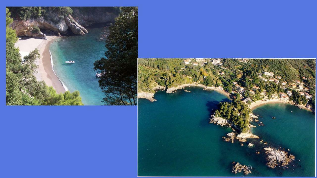 Lusso Accessibile E Servizi Lerici Exteriör bild